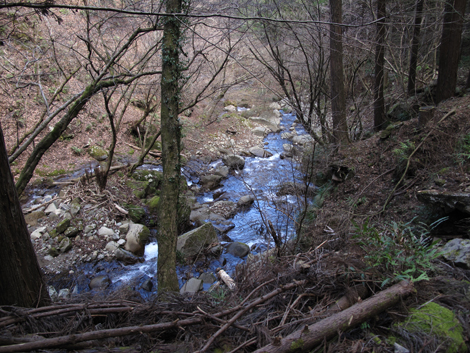 20170113hike (489)
